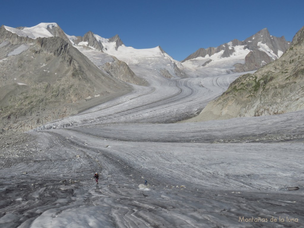Marchando por el Glaciar Galmi dejando atrás el Glaciar Fiesch en el centro, a la izquierda el Wannenhorn, al fondo derecha el Grünhorn